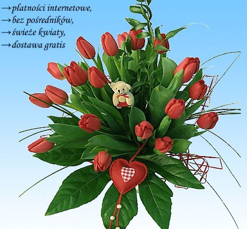 &nbsp;Zdj�cie produktu&nbsp;