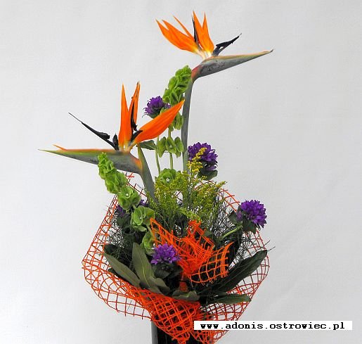 &nbsp;Zdj�cie produktu&nbsp;