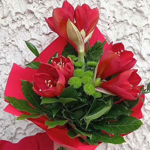 &nbsp;Zdj�cie produktu&nbsp;